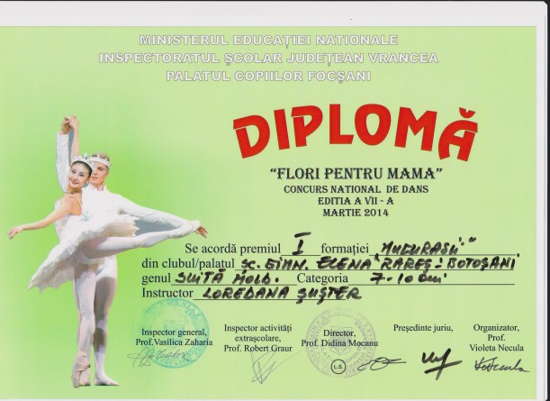 diploma 5 001